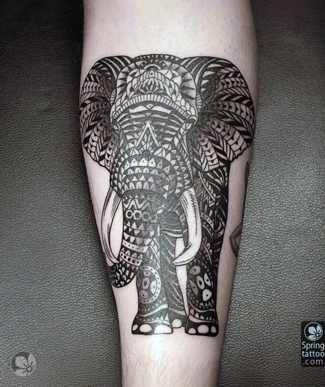 Elephant