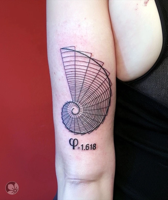 Golden Ratio
