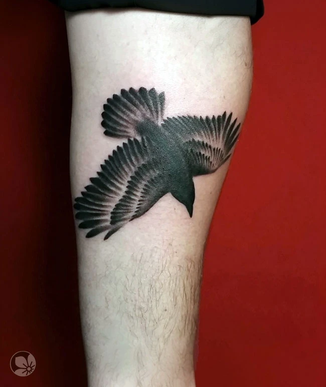 Crow