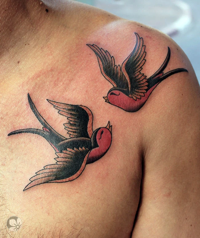Swallow