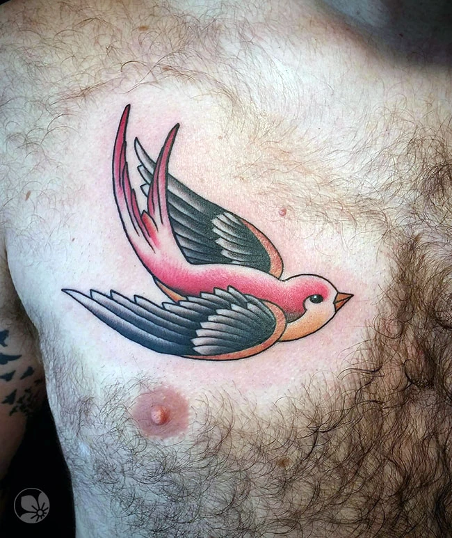 Swallow