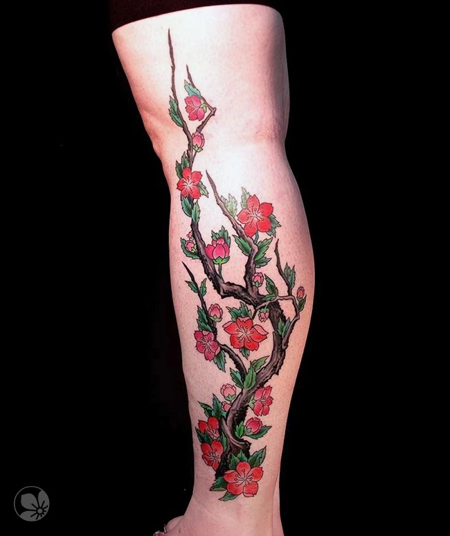 Cherry Blossom