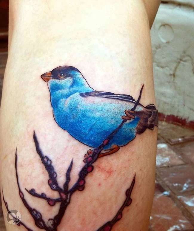 Bird