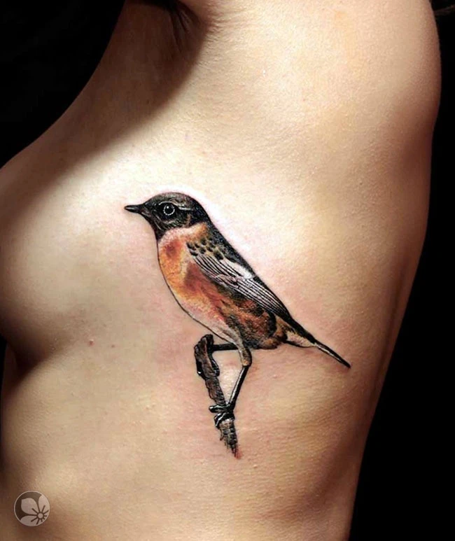Bird