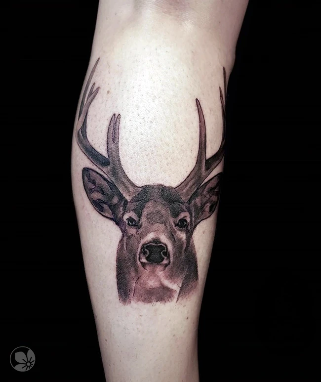 Deer