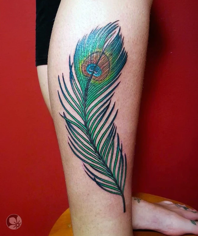 Feather