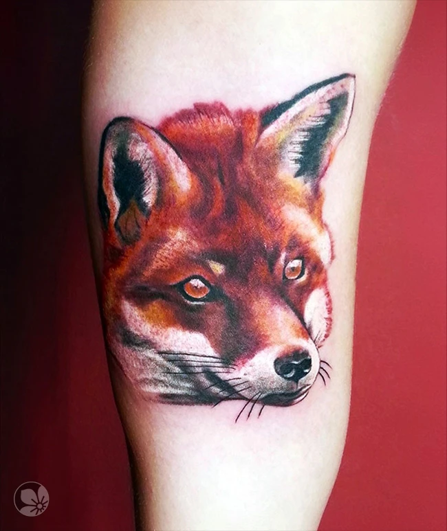 Fox