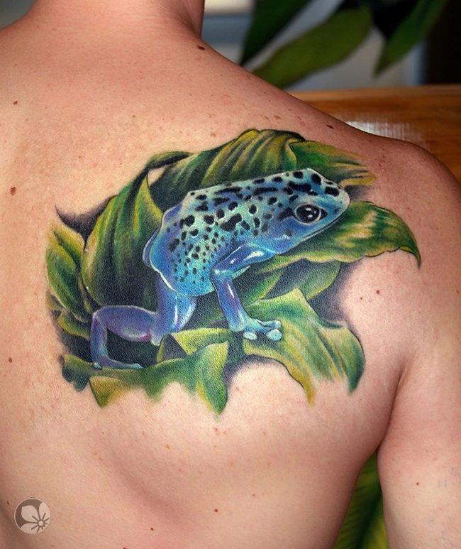 Frog