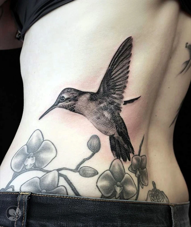 Hummingbird