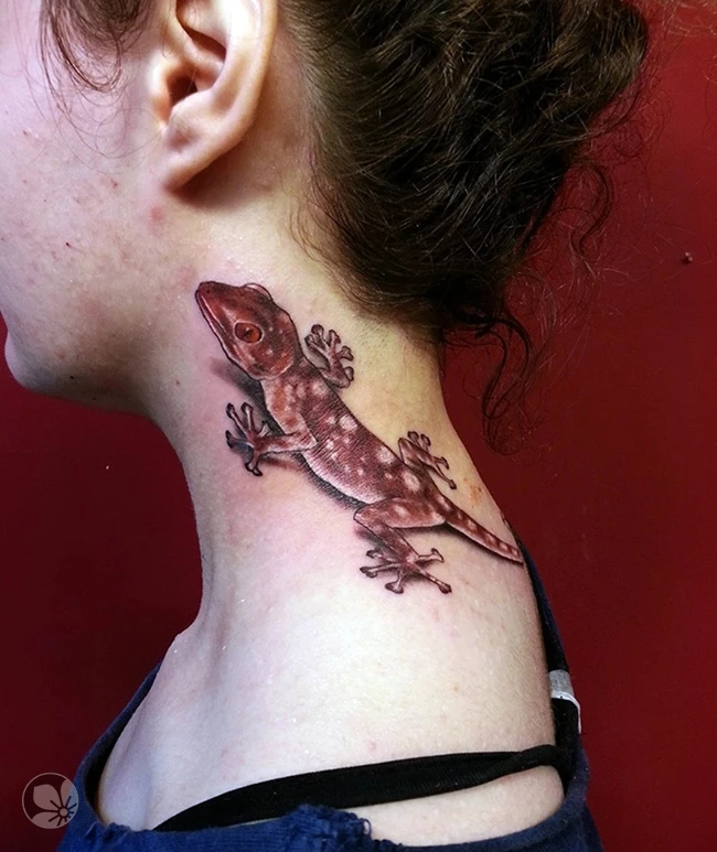 Lizard