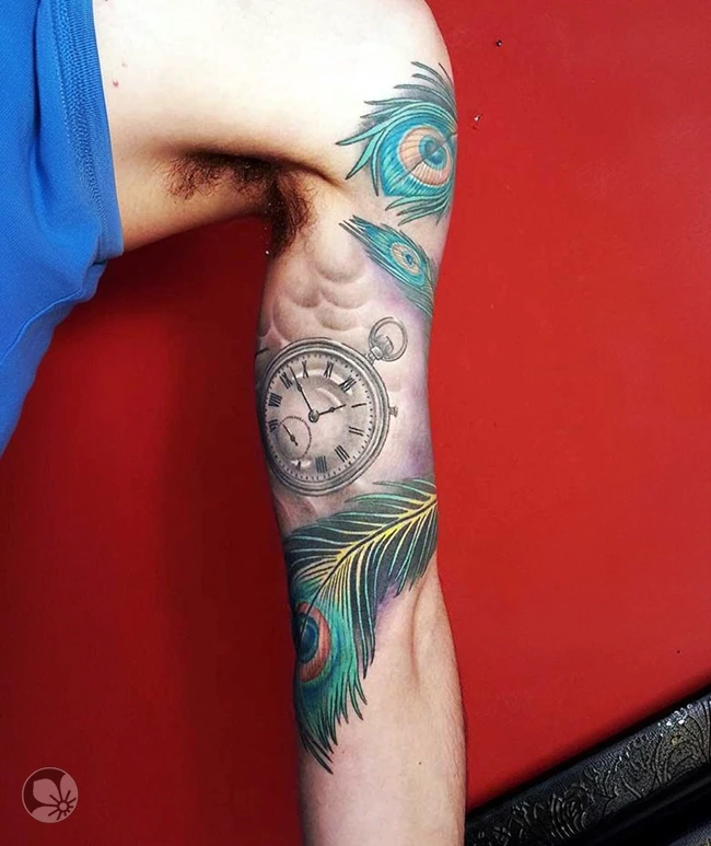 Peacock