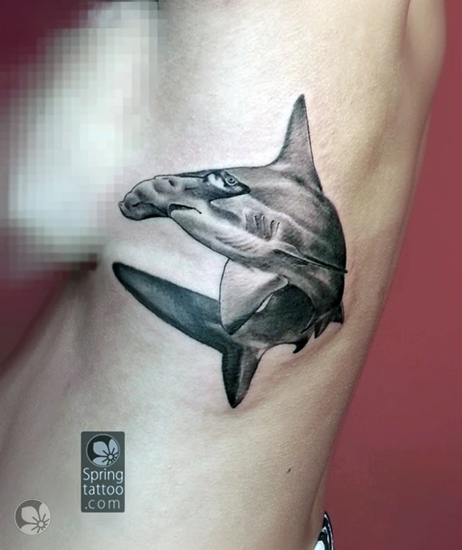 Shark
